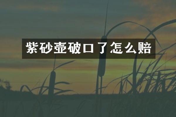 紫砂壶破口了怎么赔