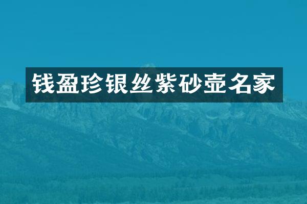 钱盈珍银丝紫砂壶名家
