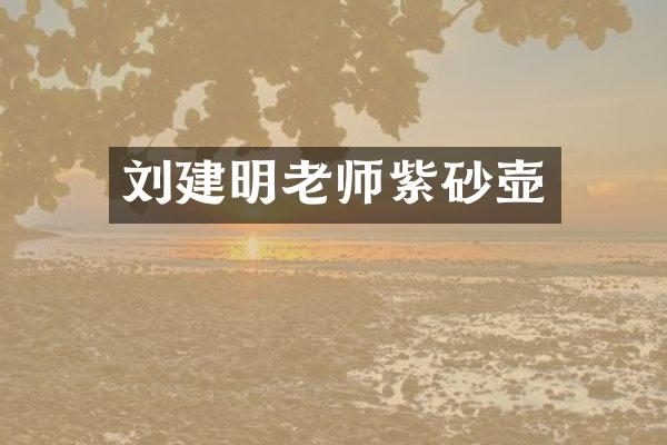 刘建明老师紫砂壶