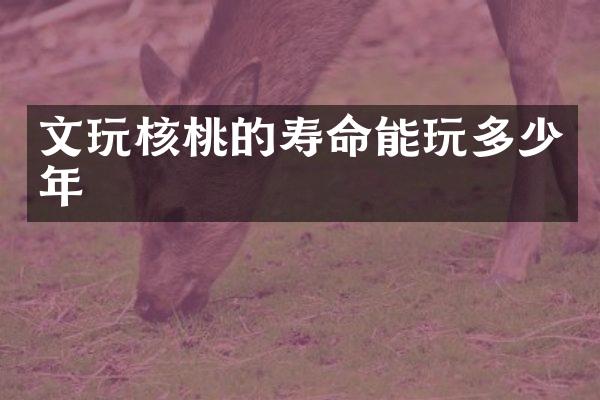文玩核桃的寿命能玩多少年