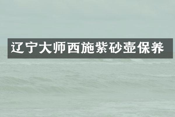 辽宁大师西施紫砂壶保养