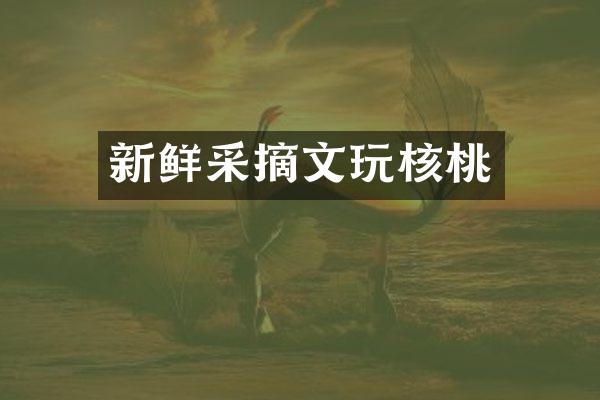新鲜采摘文玩核桃