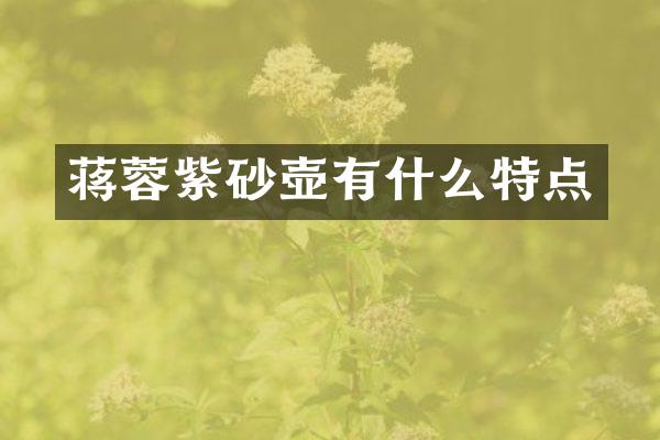 蒋蓉紫砂壶有什么特点