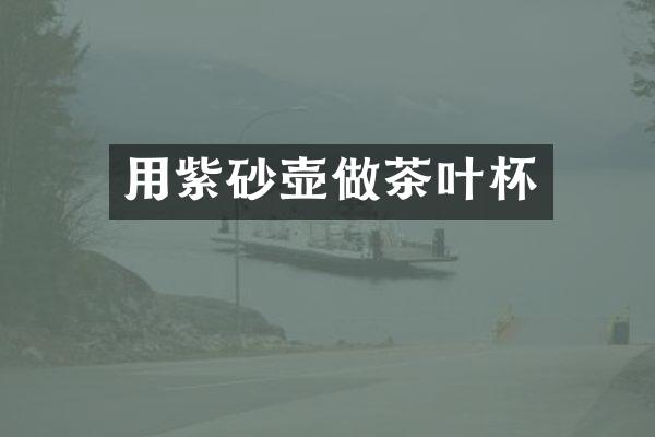 用紫砂壶做茶叶杯