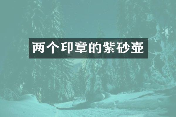 两个印章的紫砂壶