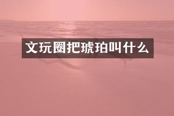 文玩圈把琥珀叫什么