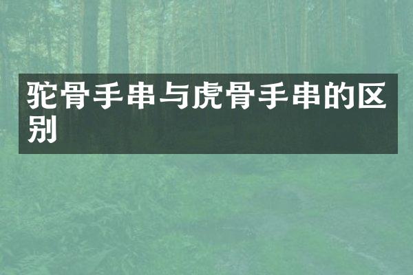 驼骨手串与虎骨手串的区别