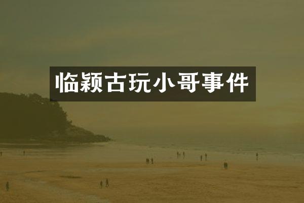 临颖古玩小哥事件