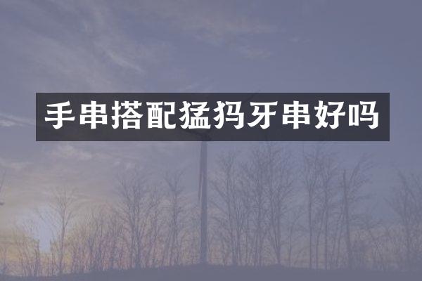 手串搭配猛犸牙串好吗