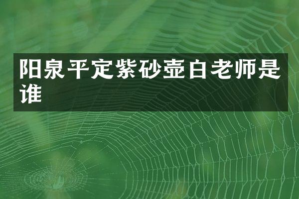 阳泉平定紫砂壶白老师是谁