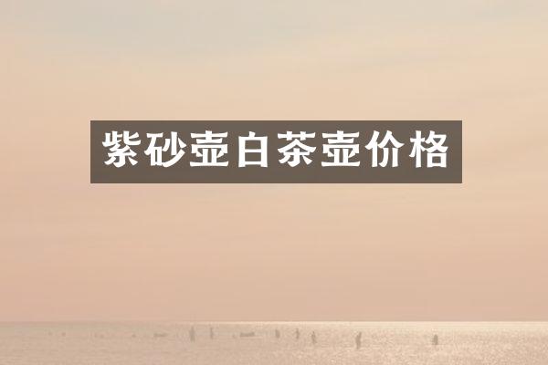 紫砂壶白茶壶价格