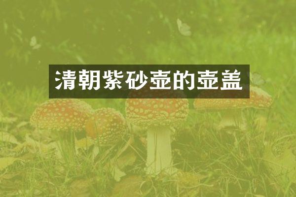 清朝紫砂壶的壶盖