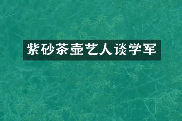 紫砂茶壶艺人谈学军