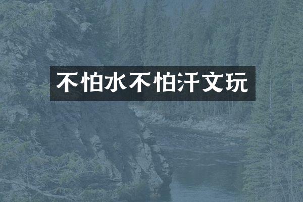 不怕水不怕汗文玩
