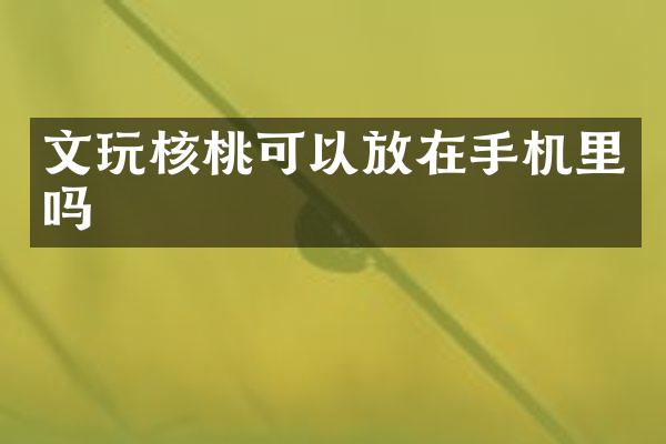 文玩核桃可以放在手机里吗