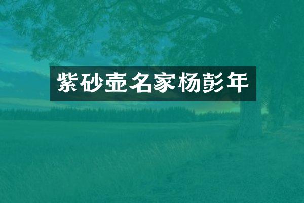 紫砂壶名家杨彭年