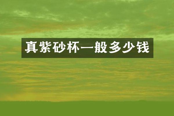 真紫砂杯一般多少钱