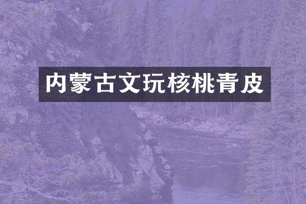 内蒙古文玩核桃青皮