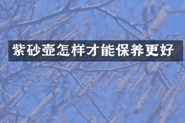 紫砂壶怎样才能保养更好