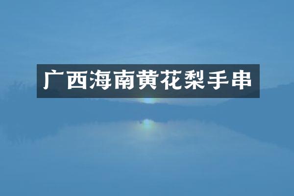 广西海南黄花梨手串