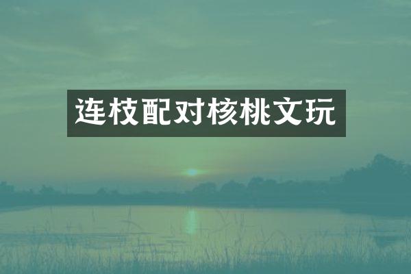 连枝配对核桃文玩