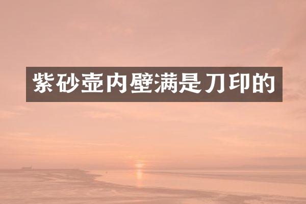 紫砂壶内壁满是刀印的