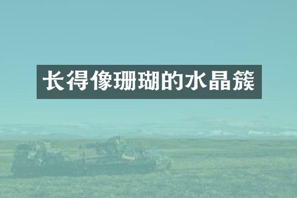 长得像珊瑚的水晶簇