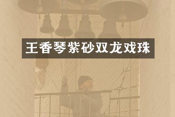 王香琴紫砂双龙戏珠