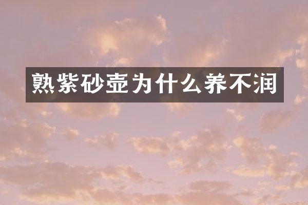 熟紫砂壶为什么养不润