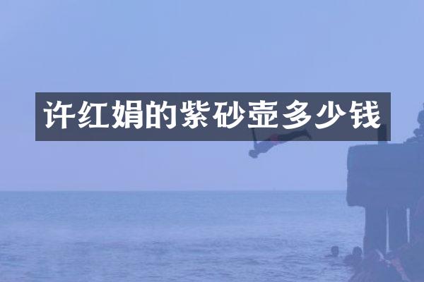 许红娟的紫砂壶多少钱