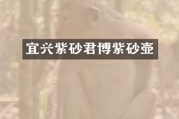 宜兴紫砂君博紫砂壶