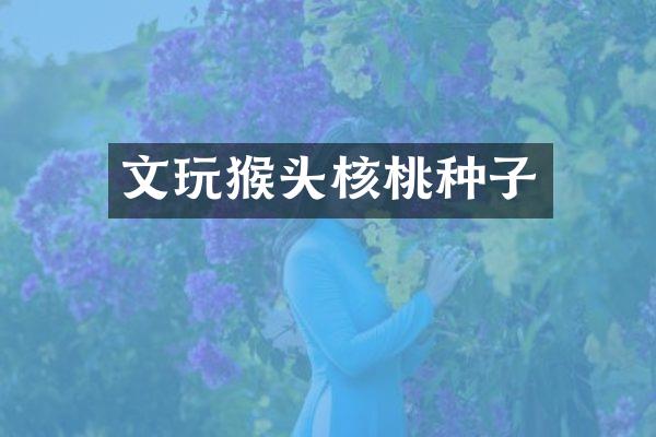 文玩猴头核桃种子