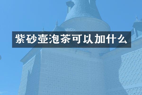 紫砂壶泡茶可以加什么