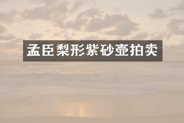 孟臣梨形紫砂壶拍卖