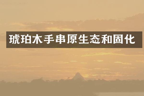 琥珀木手串原生态和固化