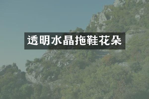 透明水晶拖鞋花朵