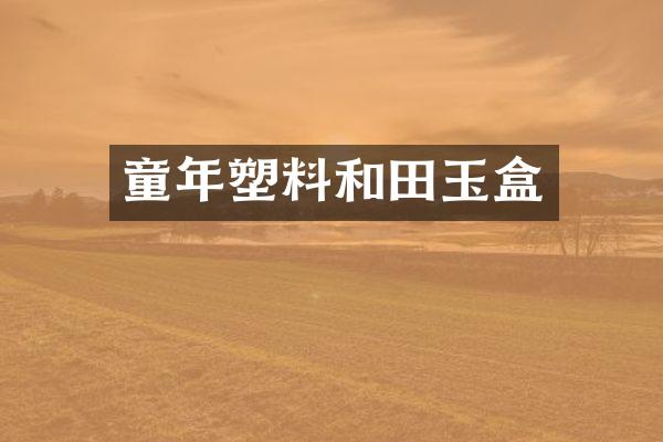 童年塑料和田玉盒