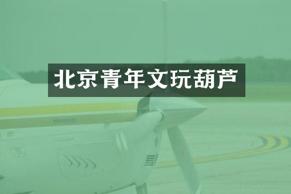 北京青年文玩葫芦
