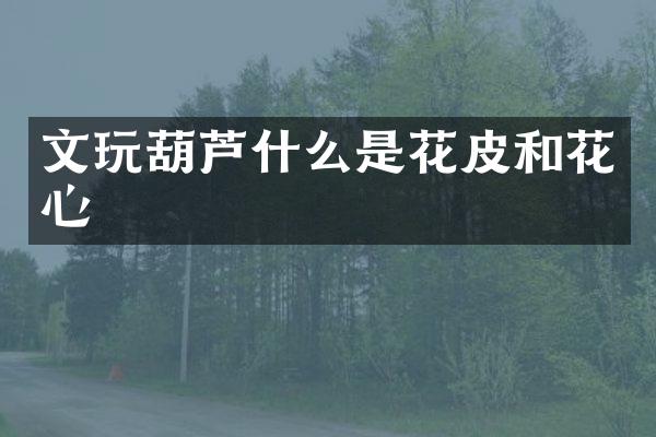 文玩葫芦什么是花皮和花心