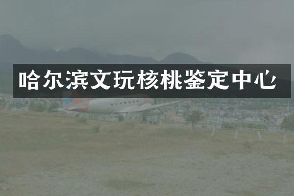 哈尔滨文玩核桃鉴定中心