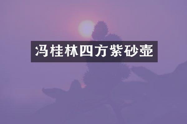 冯桂林四方紫砂壶