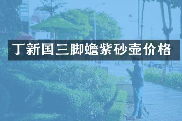 丁新国三脚蟾紫砂壶价格