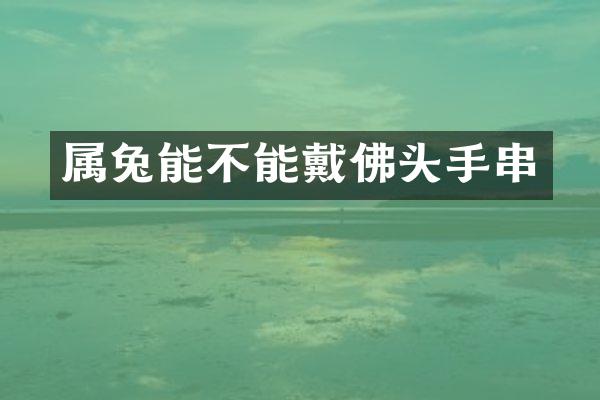 属兔能不能戴佛头手串