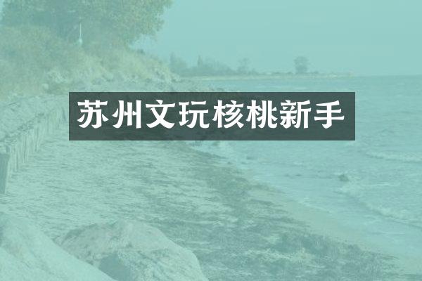 苏州文玩核桃新手