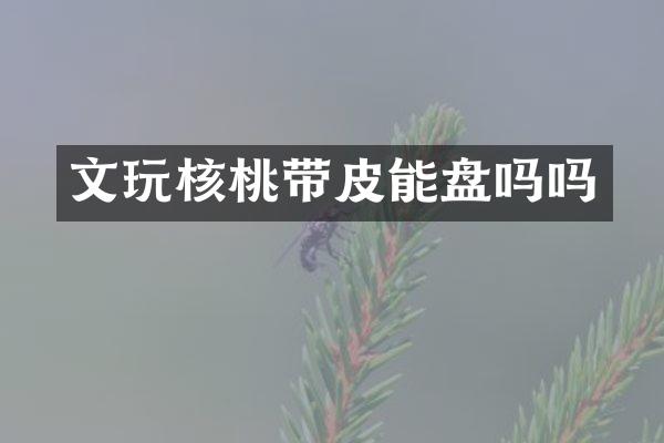 文玩核桃带皮能盘吗吗