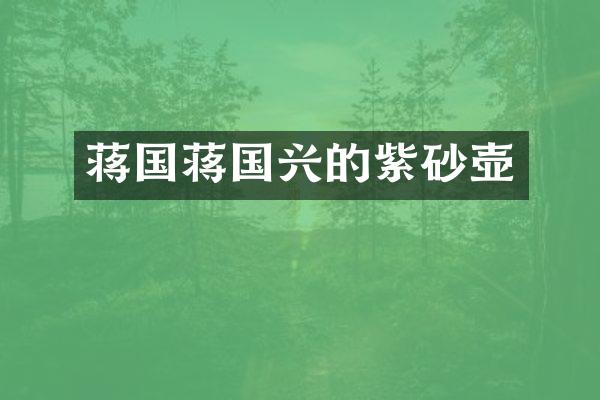 蒋国蒋国兴的紫砂壶