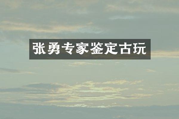 张勇专家鉴定古玩