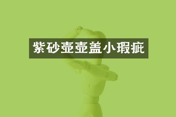 紫砂壶壶盖小瑕疵