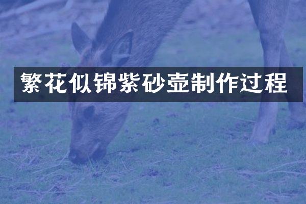 繁花似锦紫砂壶制作过程