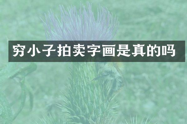 穷小子拍卖字画是真的吗